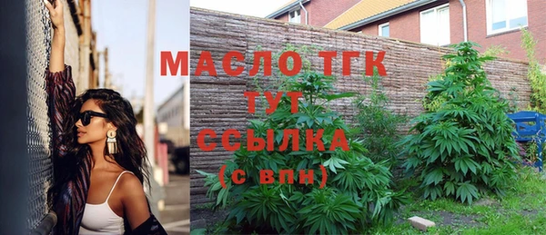 прущий лед Вяземский