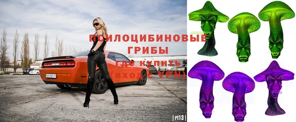 прущий лед Вяземский