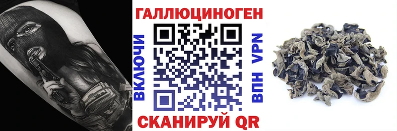 Псилоцибиновые грибы GOLDEN TEACHER  хочу   Зеленокумск 